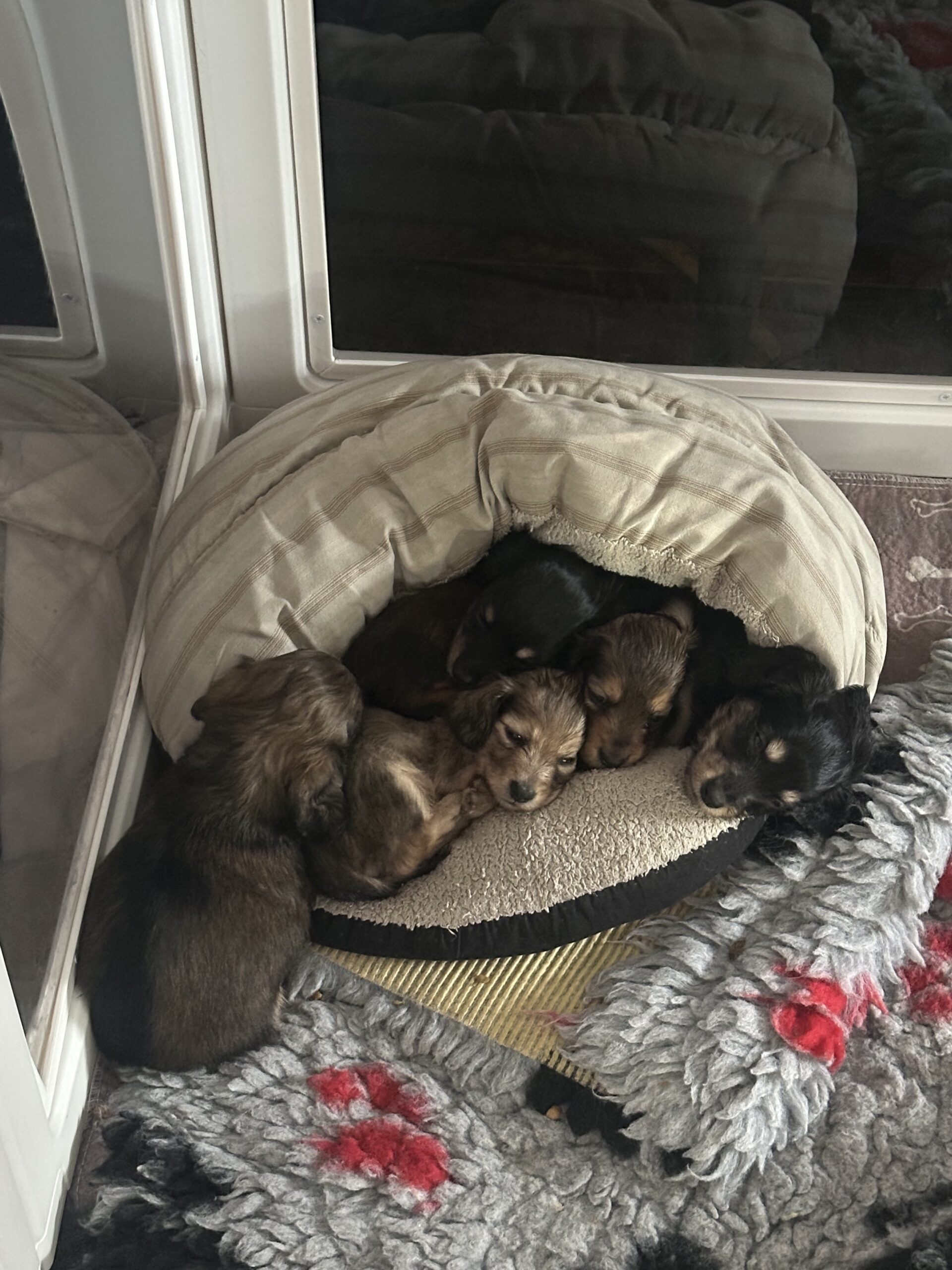 Vivi kull 2 Vivi kull 2