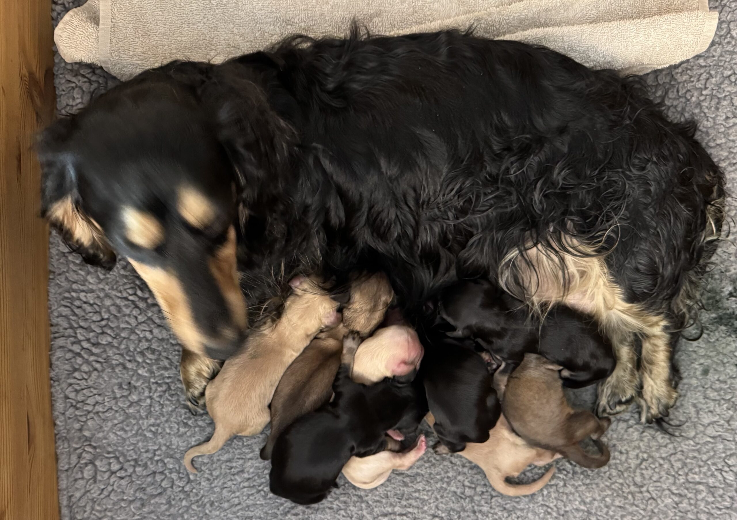 Gina kull 1 2025-05-14 Gina kull 1 2025-05-14